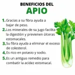 GTIN-0608312000208-02