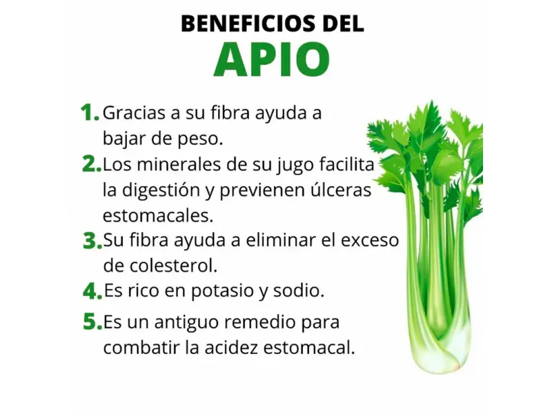 GTIN-0608312000208-02