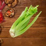 GTIN-0608312000208-04