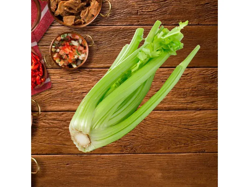 GTIN-0608312000208-04