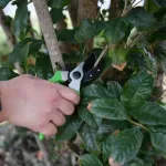 GTIN-6974334553553-06