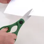 GTIN-0801656009580-06