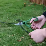 GTIN-0801656009580-07