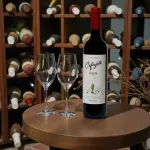 GTIN-7790093521782-06