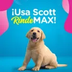 GTIN-7441008168348-1