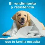 GTIN-7441008126218-02