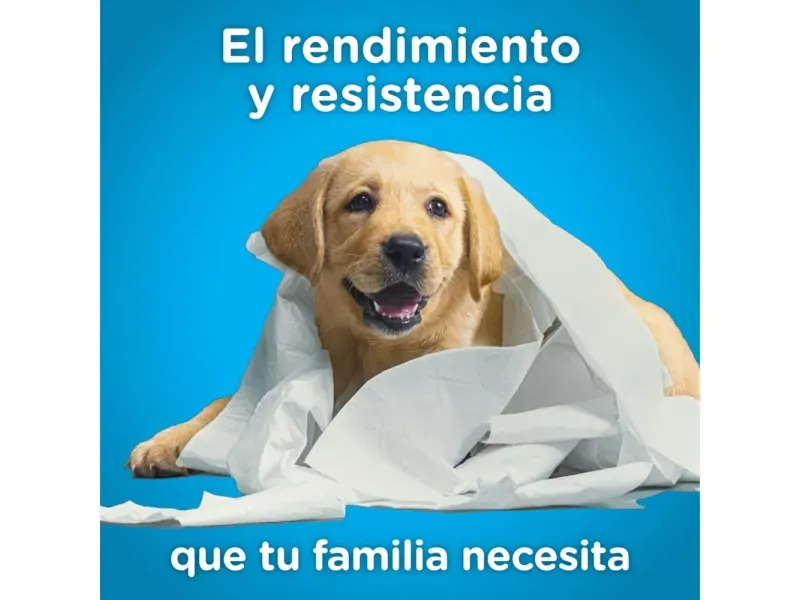 GTIN-7441008126218-02