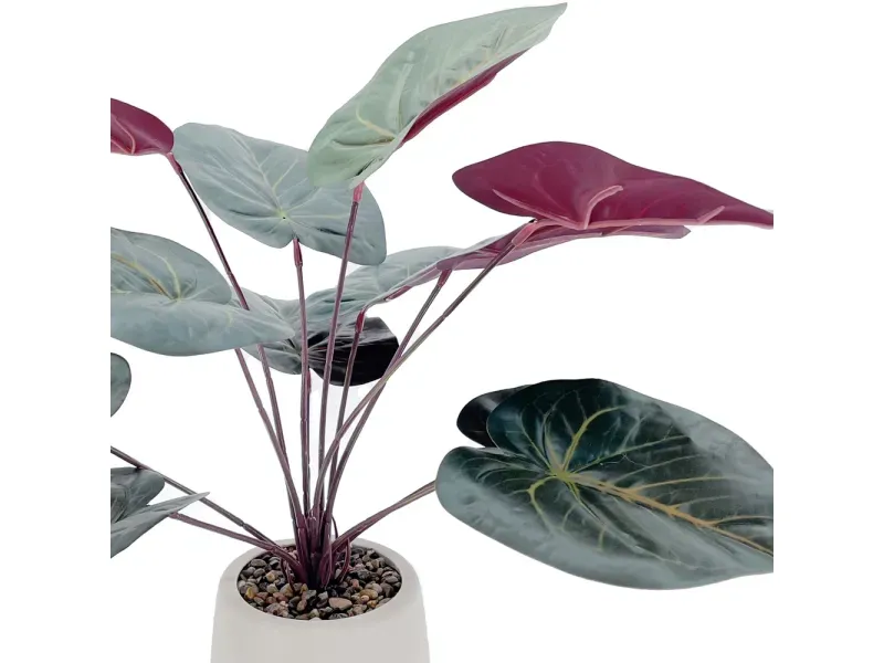 GTIN-6974221246575-02