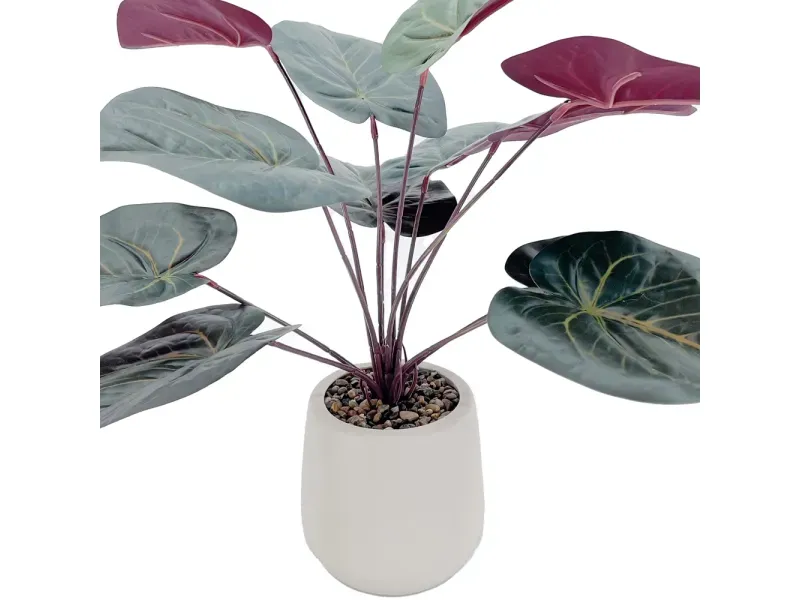 GTIN-6974221246575-03