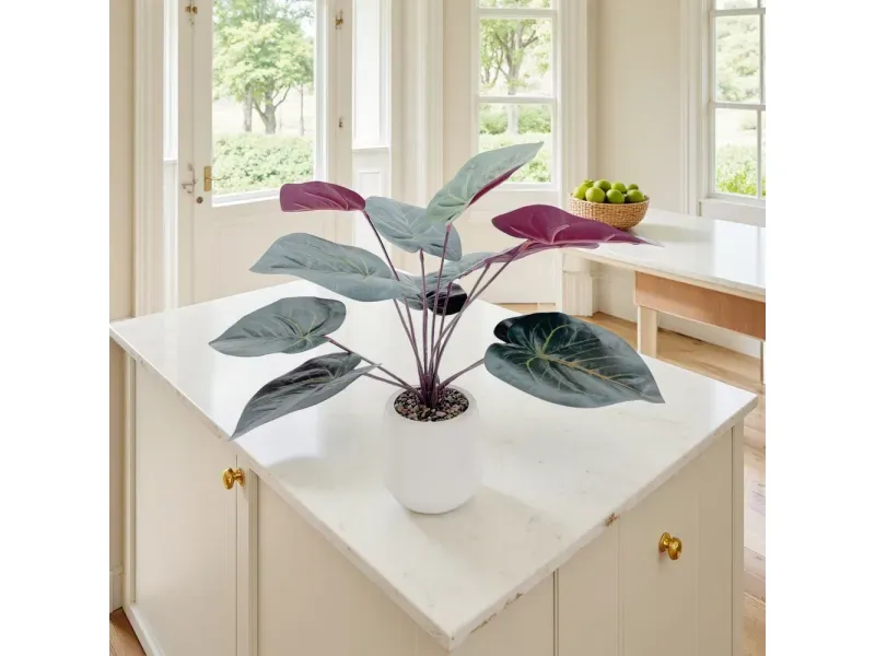 GTIN-6974221246575-04