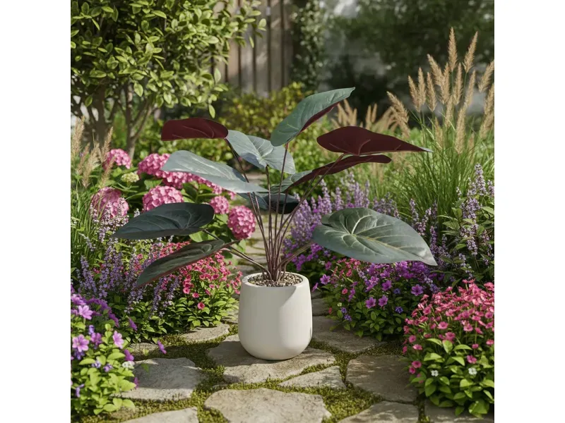 GTIN-6974221246575-05