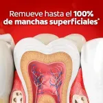 000000000075234797-UN-07