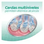 GTIN-7891024068007-08