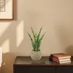 GTIN-6974221244397-04