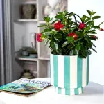 GTIN-6952397406399-06