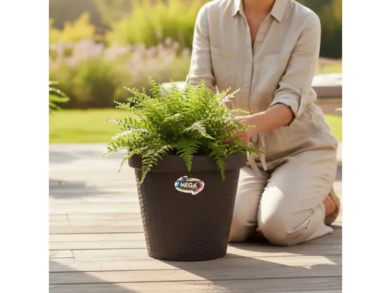 GTIN-7488501750700-02