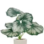 GTIN-6974221244458-02