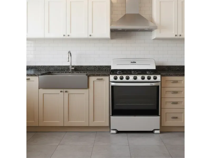 GTIN-0456503800010-06