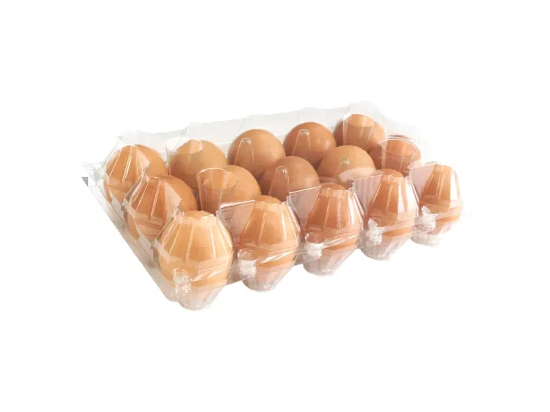 GTIN-7434000560029-03