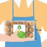 GTIN-7434000560029-05