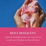 000000000070188460-UN-06