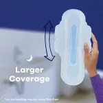 000000000075380732-UN-02