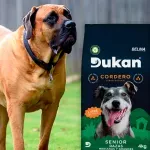 000000000075017397-UN-07