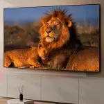 GTIN-0195185113888-09