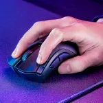 GTIN-0810056146689-06