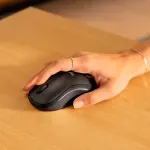 GTIN-0197855187670-09