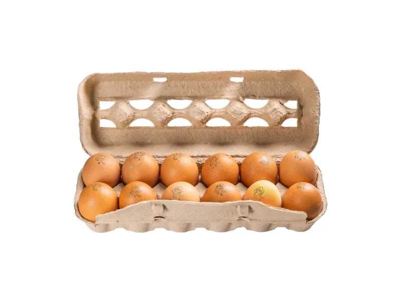 GTIN-7431002500893-02