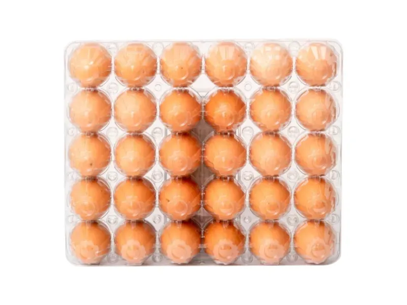 GTIN-7434000560012-02