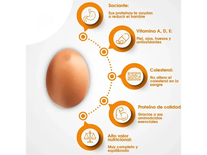 GTIN-7434000560012-03