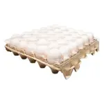 GTIN-7434000560104-02