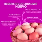 GTIN-7434000560104-04