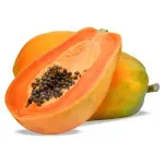 GTIN-0000000031127-01