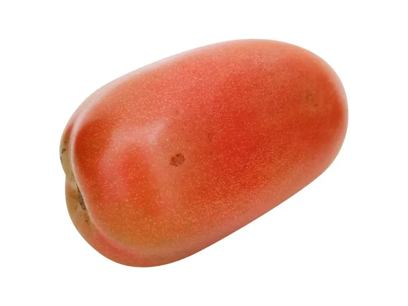 GTIN-0000000046640-01