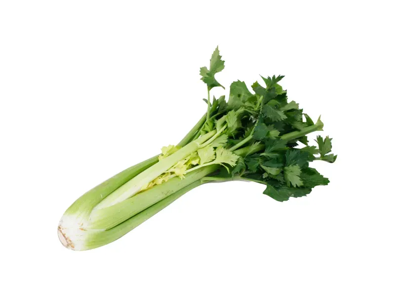 GTIN-0000000045834-01