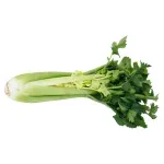 GTIN-0000000045834-02