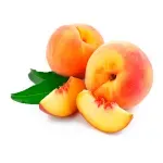 GTIN-0000000078139-01