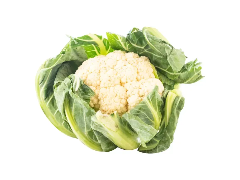 GTIN-0000000095808-02