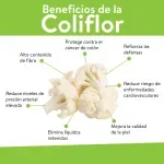 GTIN-0000000095808-03