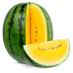 GTIN-0000000077729-01