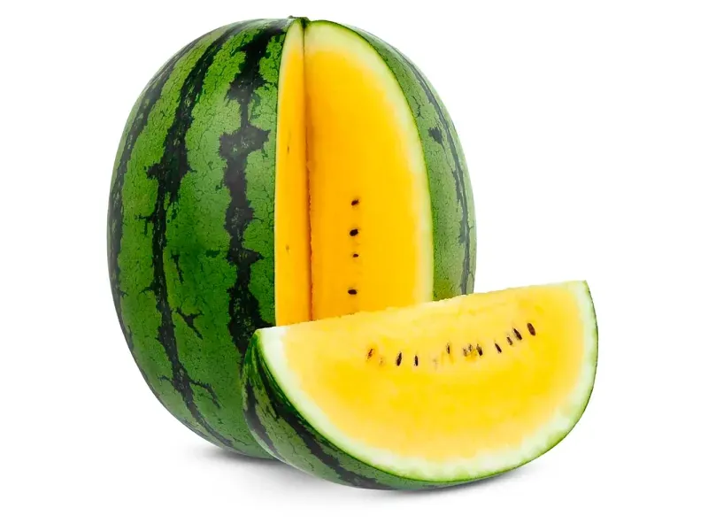 GTIN-0000000077729-01