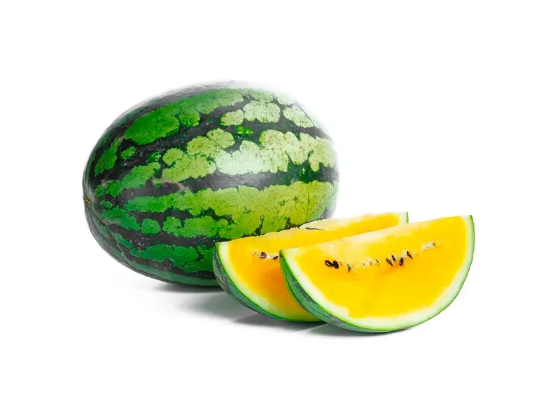 GTIN-0000000077729-02