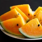 GTIN-0000000077729-04