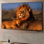 GTIN-0195185113888-08