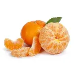 GTIN-0000000040556-01