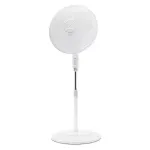 GTIN-0845424009969-01