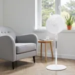 GTIN-0845424009969-04